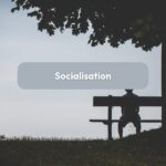 socialisation