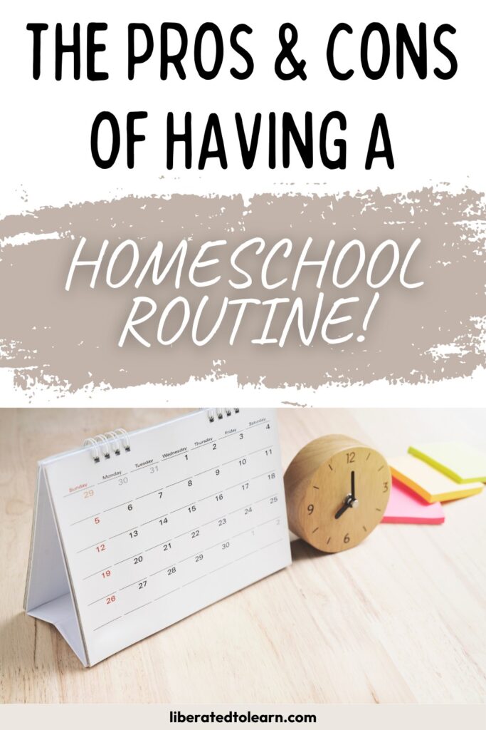 pros and cons of a homeschool routine