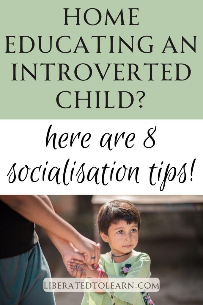 introverted homeschoolers
