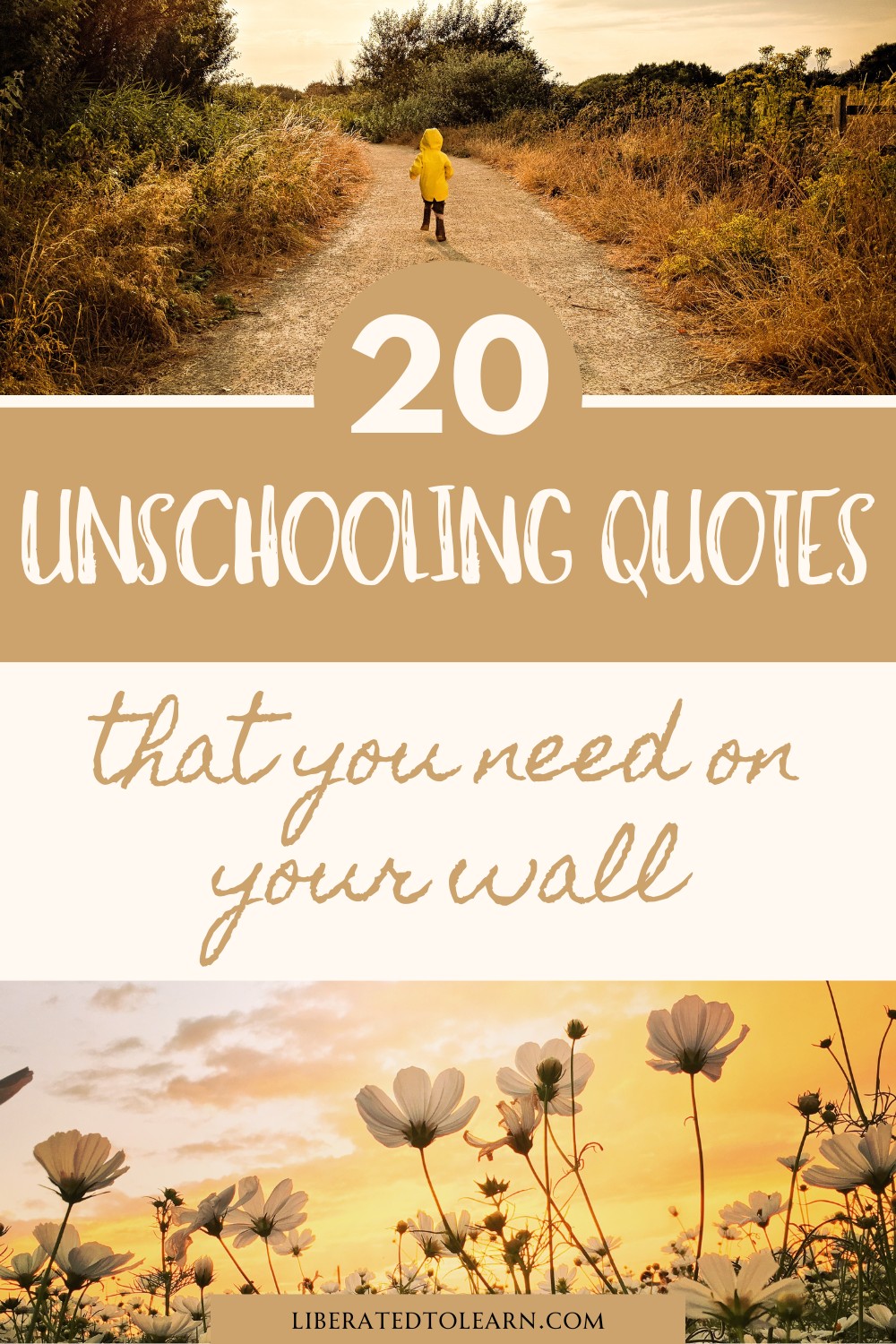 20 unschooling quotes that you need on your wall