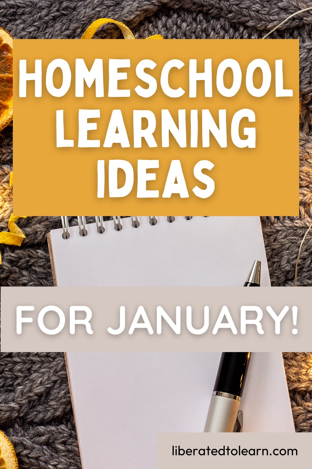 january homeschool learning ideas