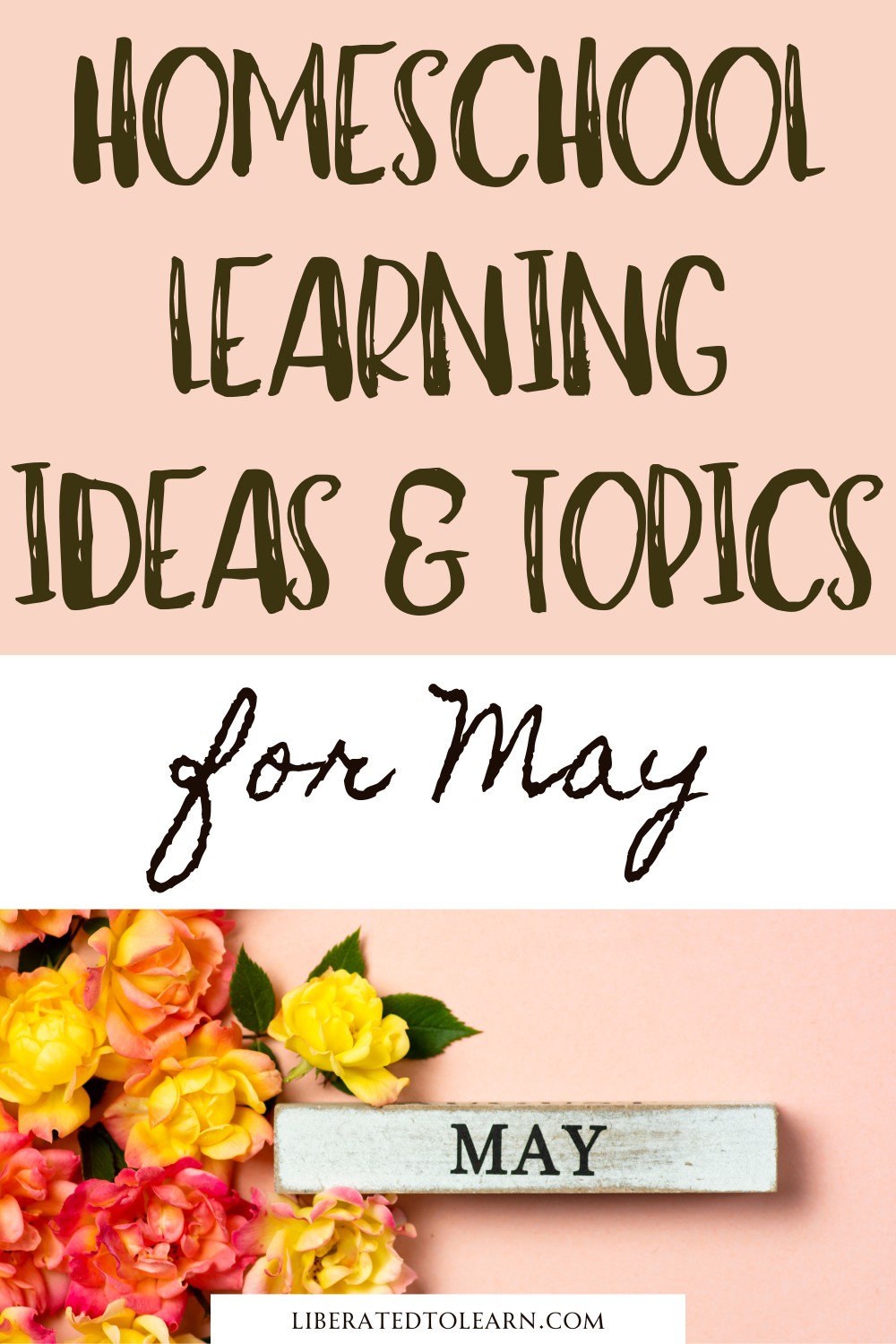 may homeschool learning ideas